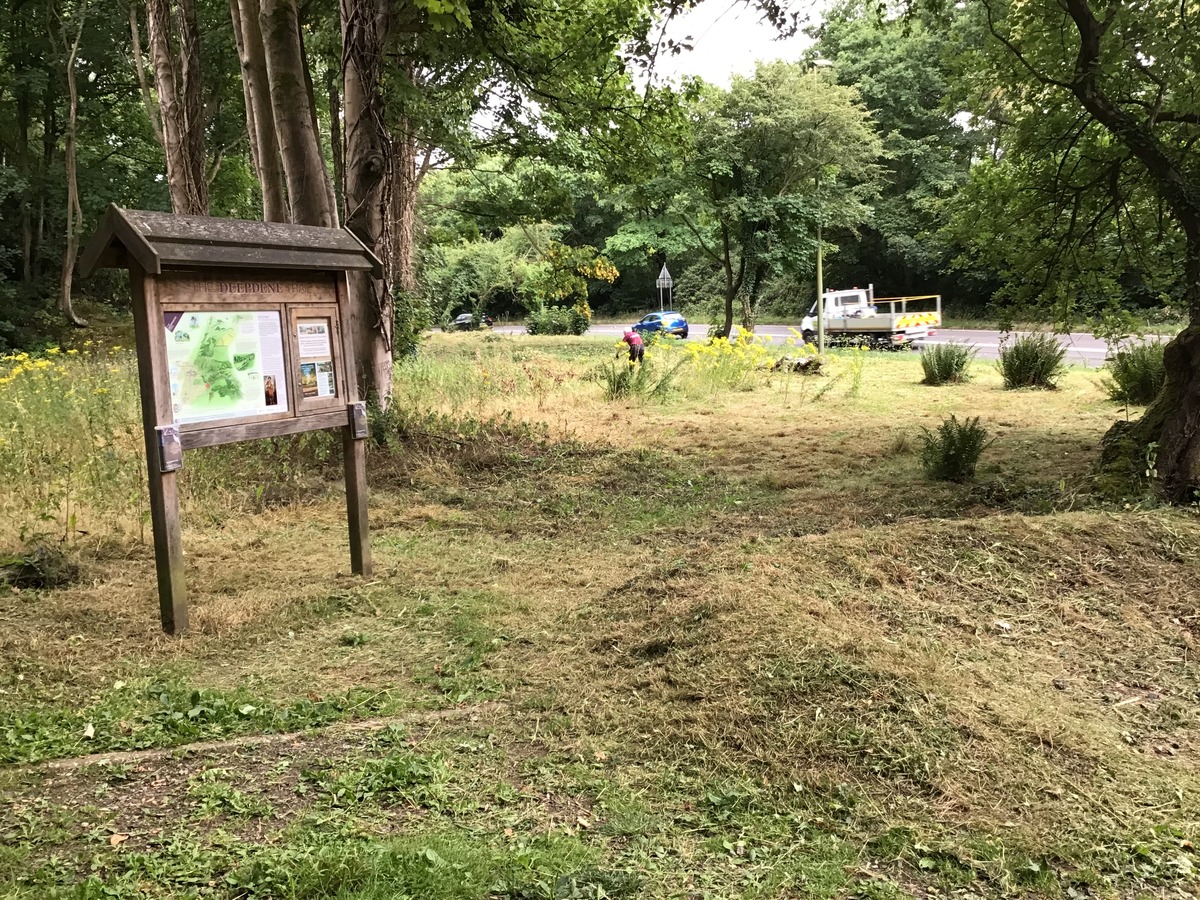 Trail entrance tidied up